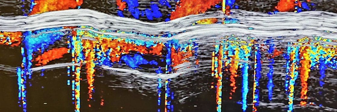 tybocephus's profile banner image