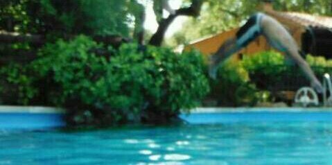 pablo_potro's profile banner image