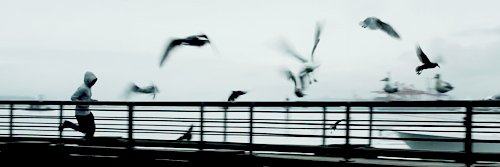 Christian T. Grey || Hiatus banner