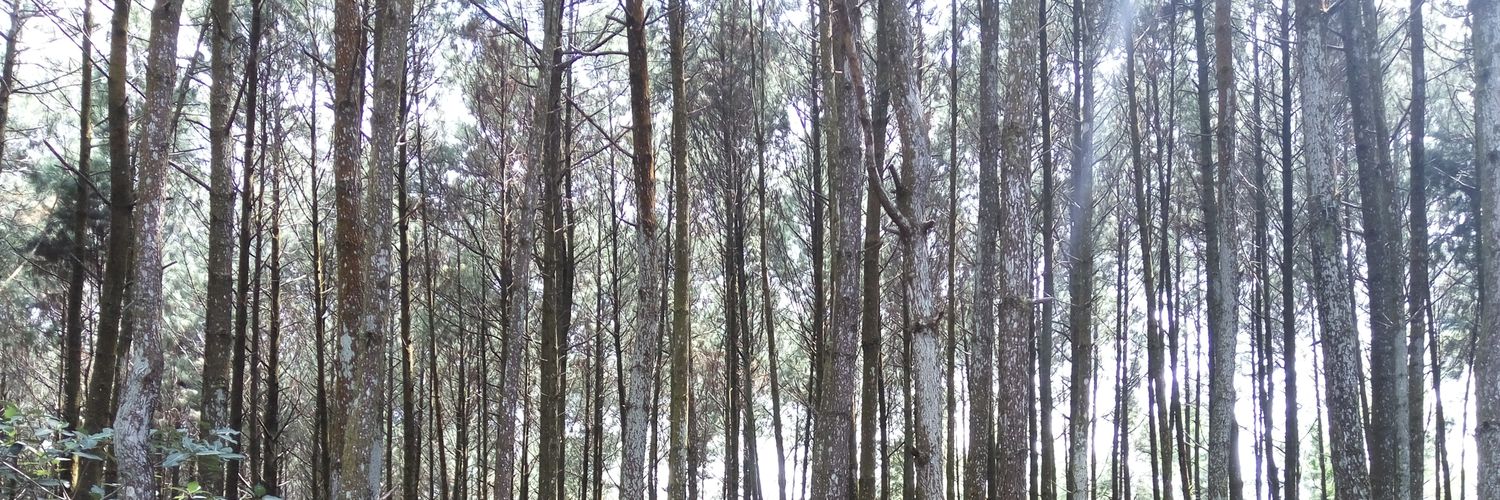 yuuunique's profile banner image