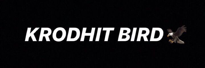 krodhitbird's profile banner image
