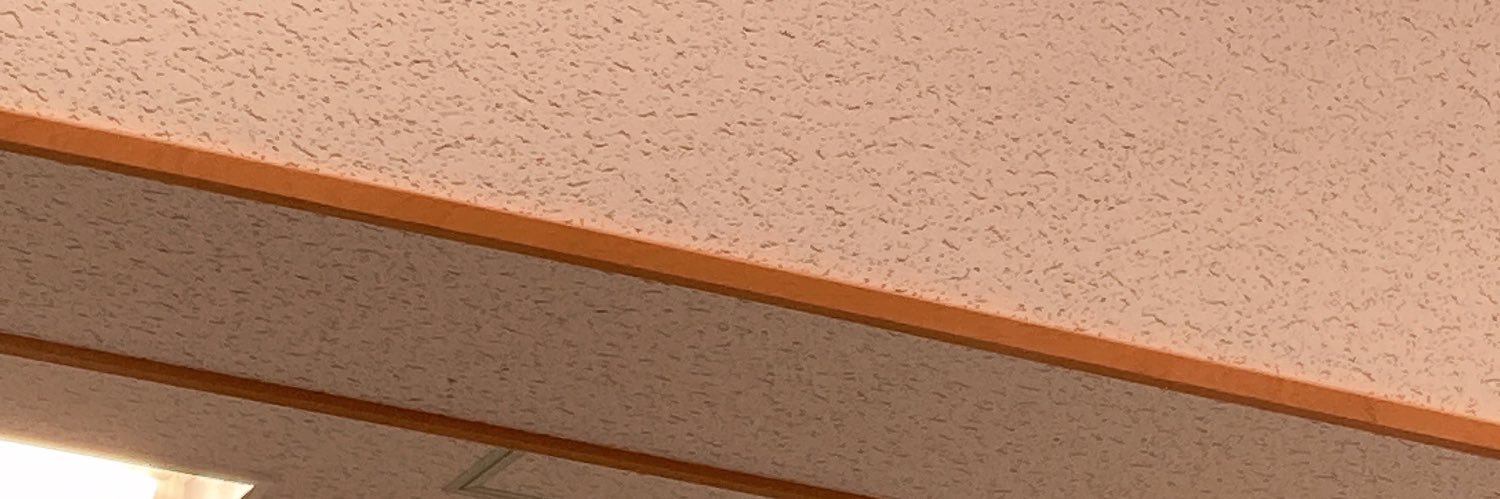 federips's profile banner image
