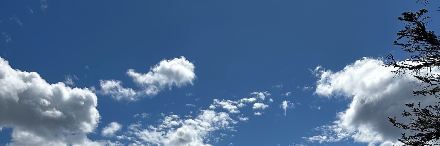 angel banner