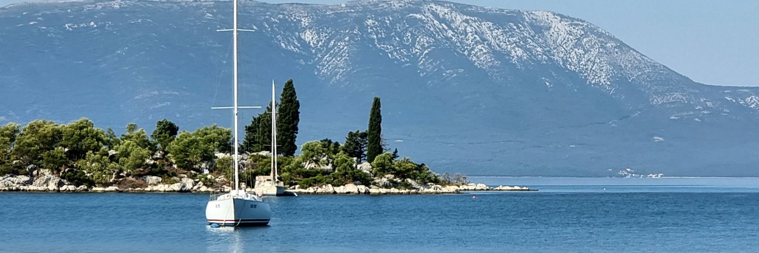 Tamara Stojsavljevic banner