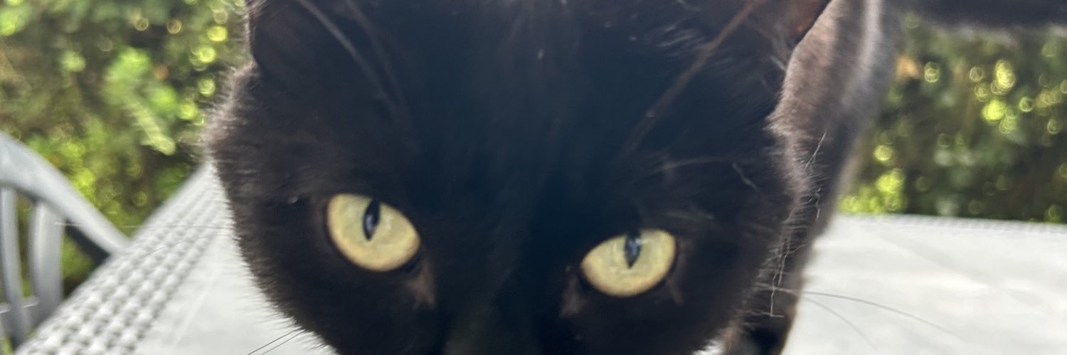 ben_css's profile banner image
