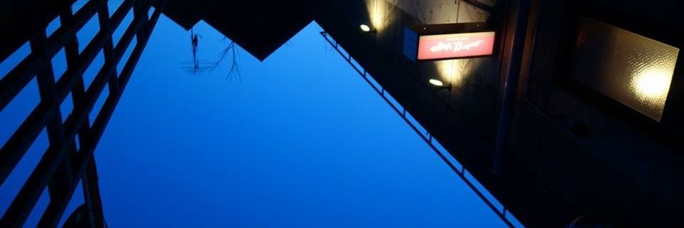 Studio α VEGA banner