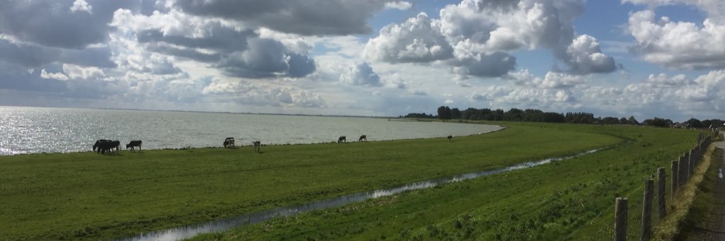 bertjebenen's profile banner image