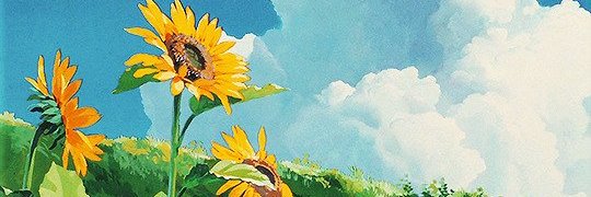 wahaibia_'s profile banner image