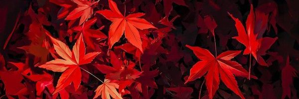 h4rncs Profile Banner