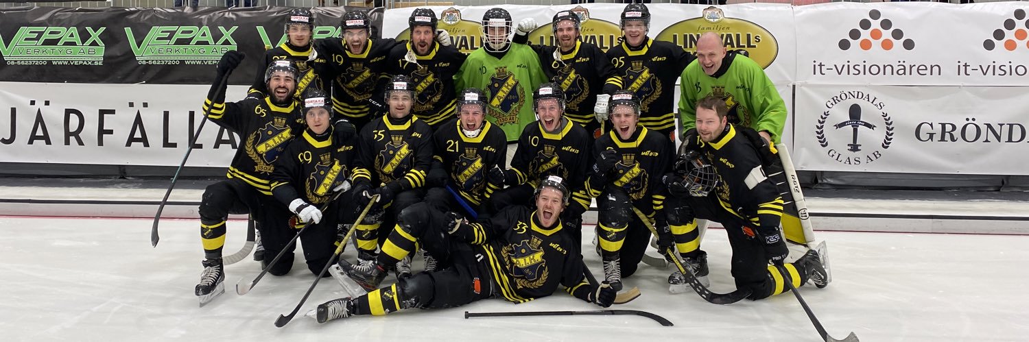 AIK Bandy banner
