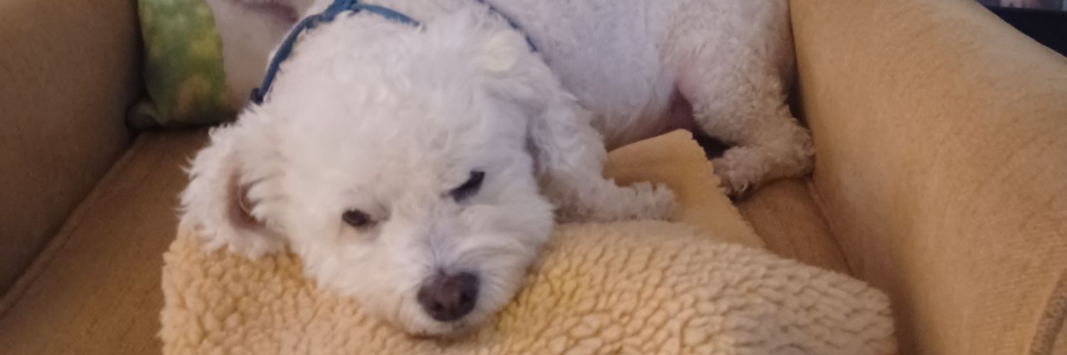 nancy51591's profile banner image