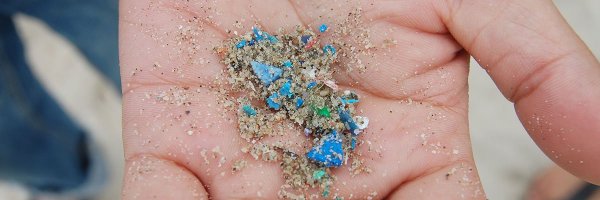 Andromeda_EU Profile Banner