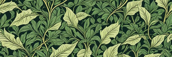 rapprach Profile Banner