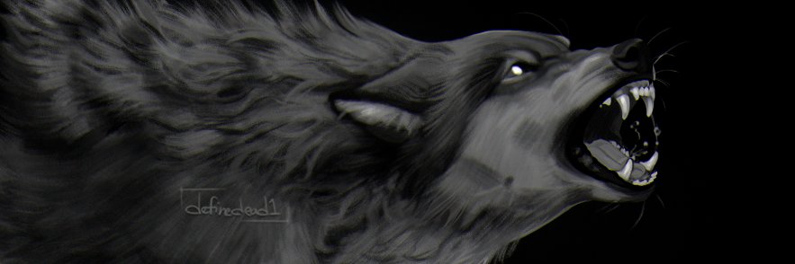 🧇 your waffleness 🧇's banner