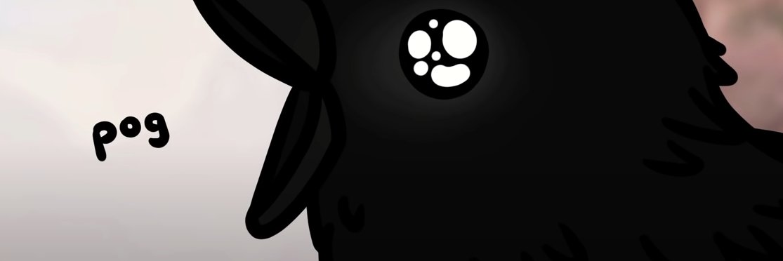 FinnyFin banner