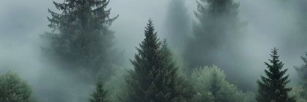 ZackO banner