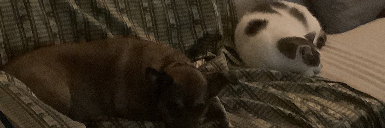 Els Burgering banner