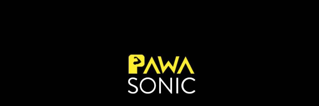 Pawasonic banner