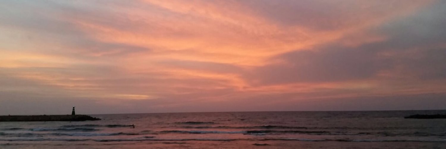 SammSellem's profile banner image