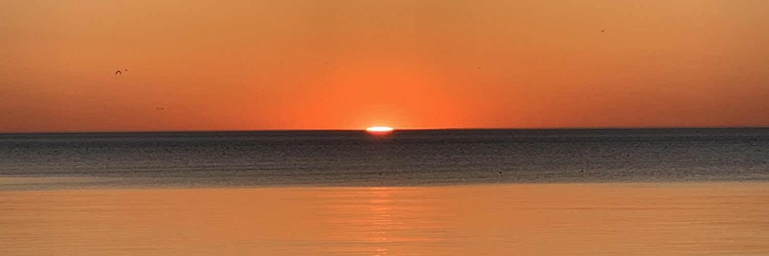 Kelly Staricha banner