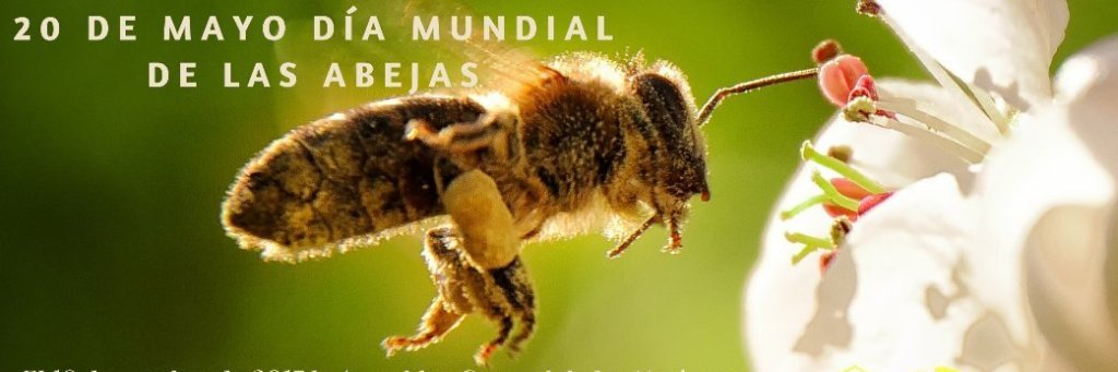 FEDEABEJAS - COLOMBIA banner