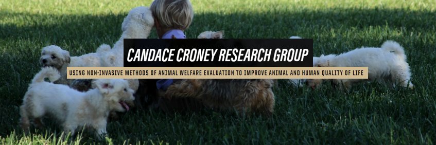 Croney Research Group banner