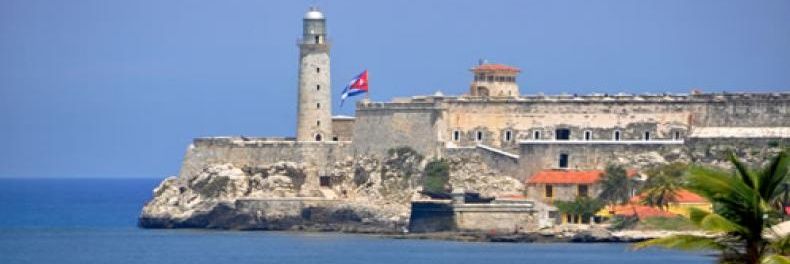 Odalys Rodríguez Del Toro banner