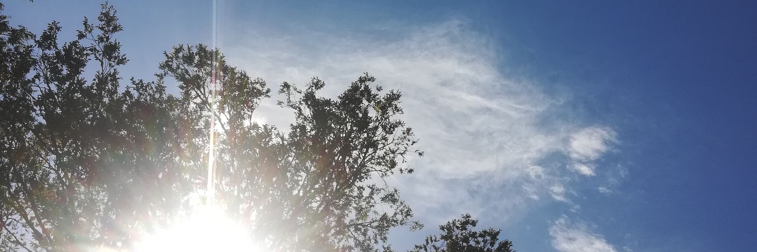 karigoesblu's profile banner image