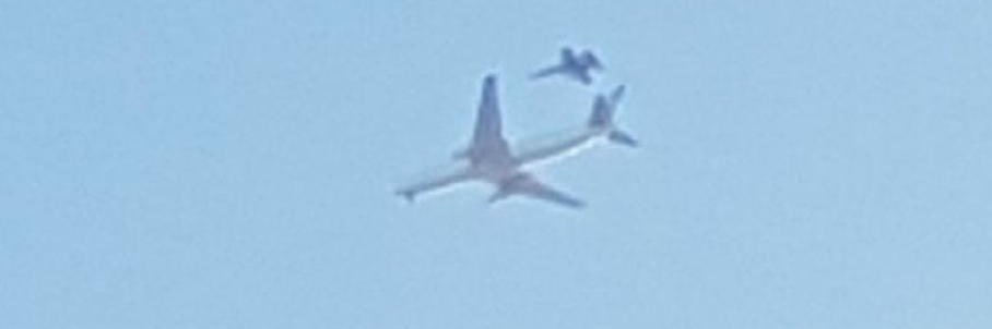 elvira.julia.santjaume@gmail.com banner