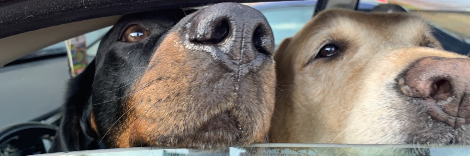 madisonuens_'s profile banner image