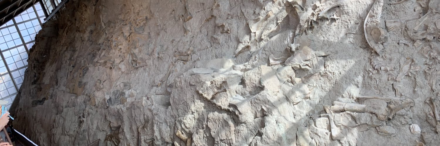 samisomsam's profile banner image