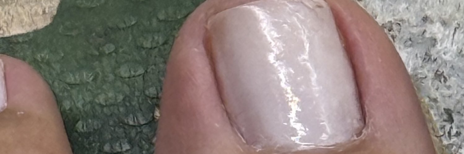 lulu do pezin 👣 banner