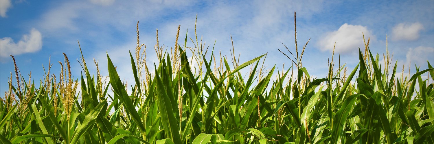 Ruminant Farm Systems Model banner
