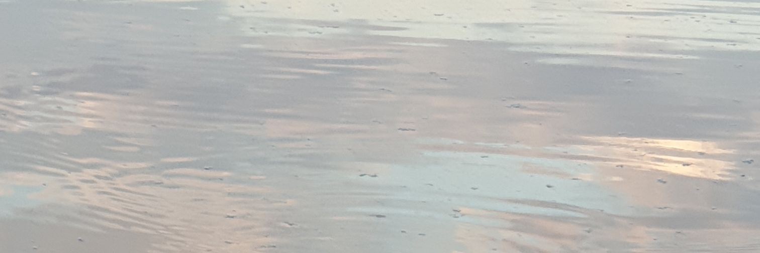 KoyotMr's profile banner image