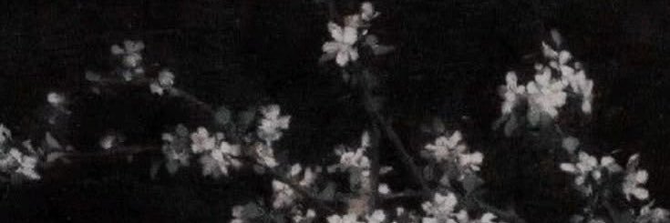 kamisato banner