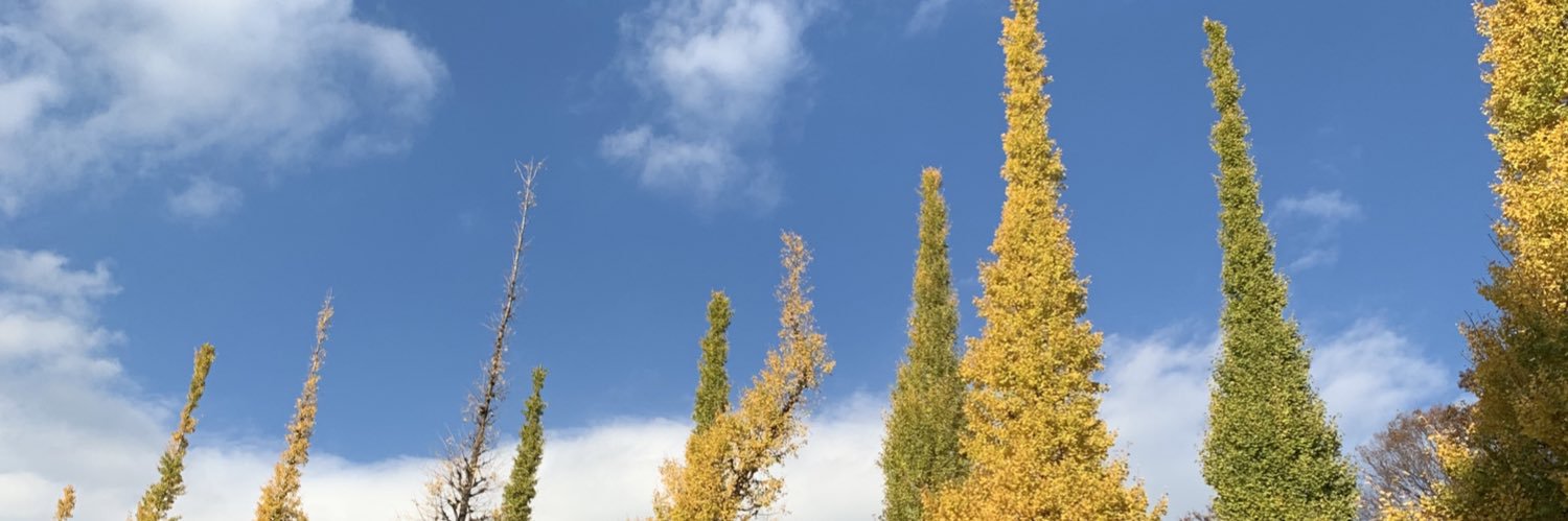 ripeberry's profile banner image
