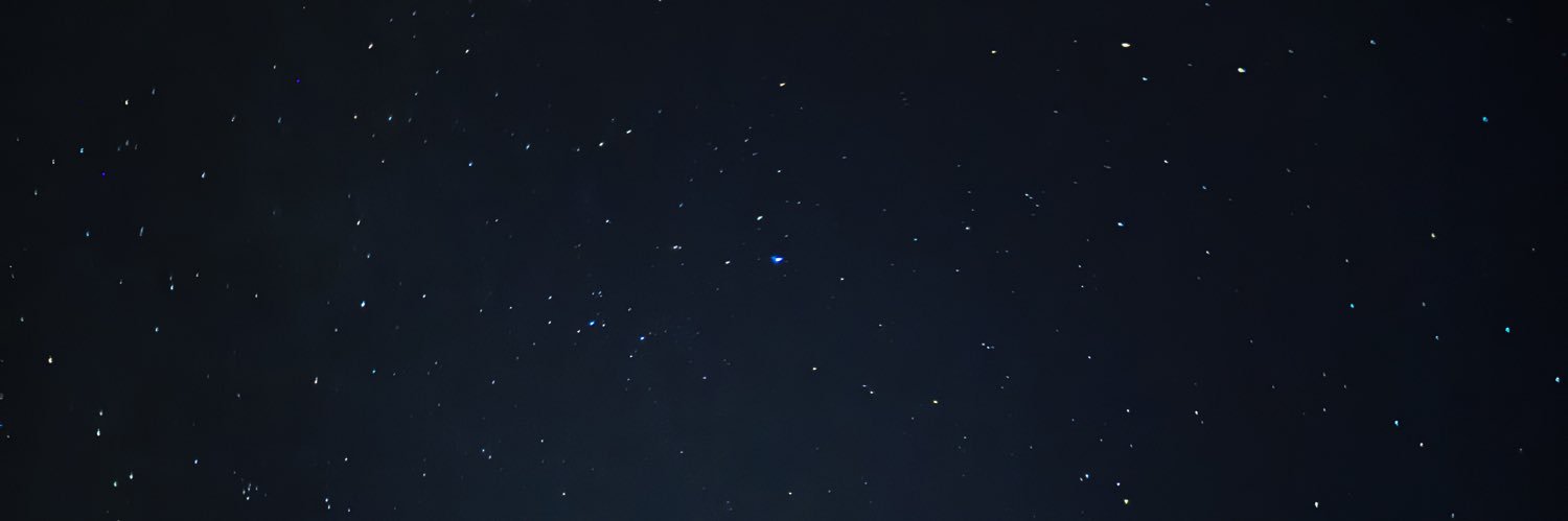 Rasul Ibragimov banner