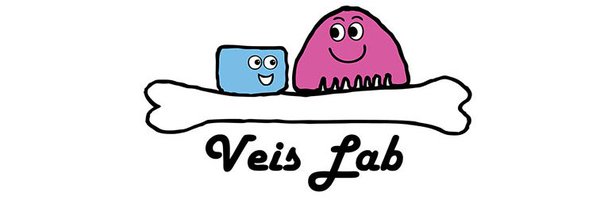 dveislab Profile Banner