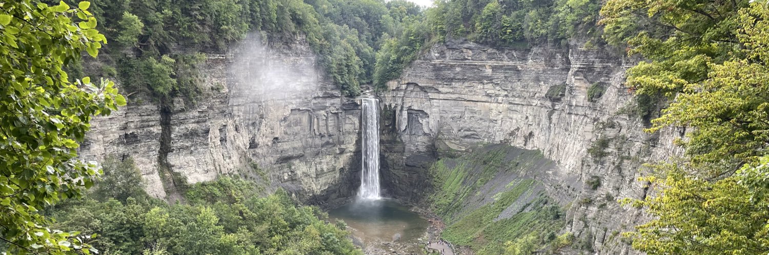 Anand Swaminathan MD MPH 🏳️‍🌈🇺🇦 banner