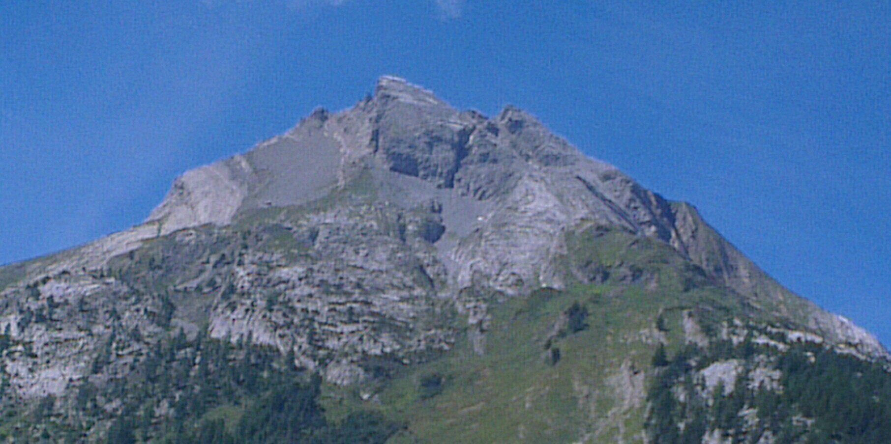 Dan Costigliola banner