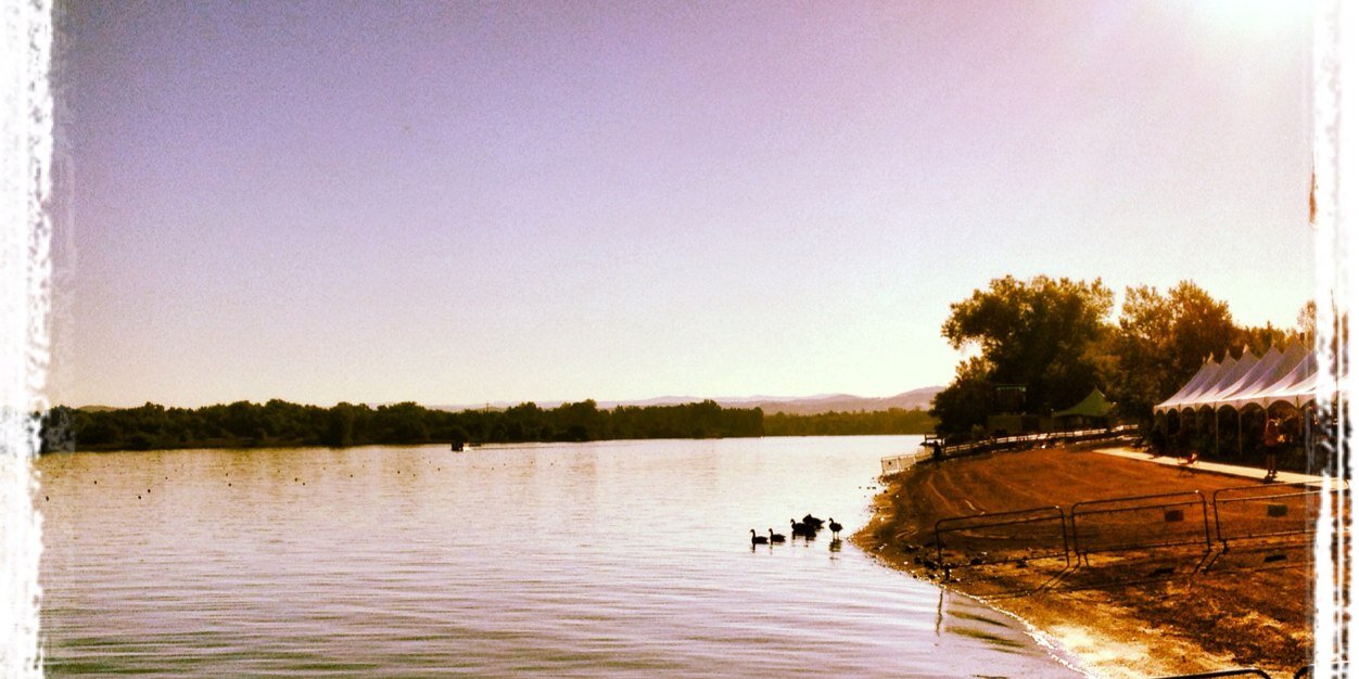 ECACRowing's profile banner image