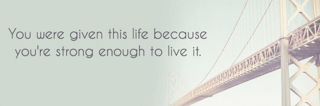 Bblue_Bbird's profile banner image