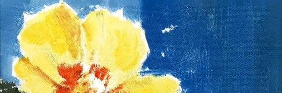 niño araña banner