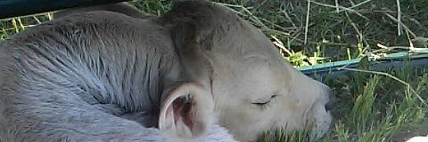 taytay_paye's profile banner image