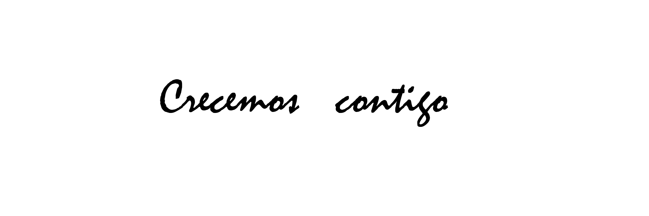 Chile Vende banner