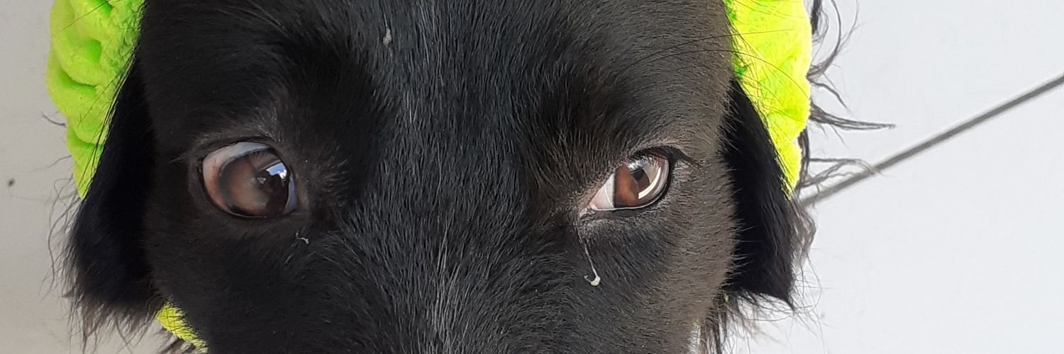 themyspimposa's profile banner image