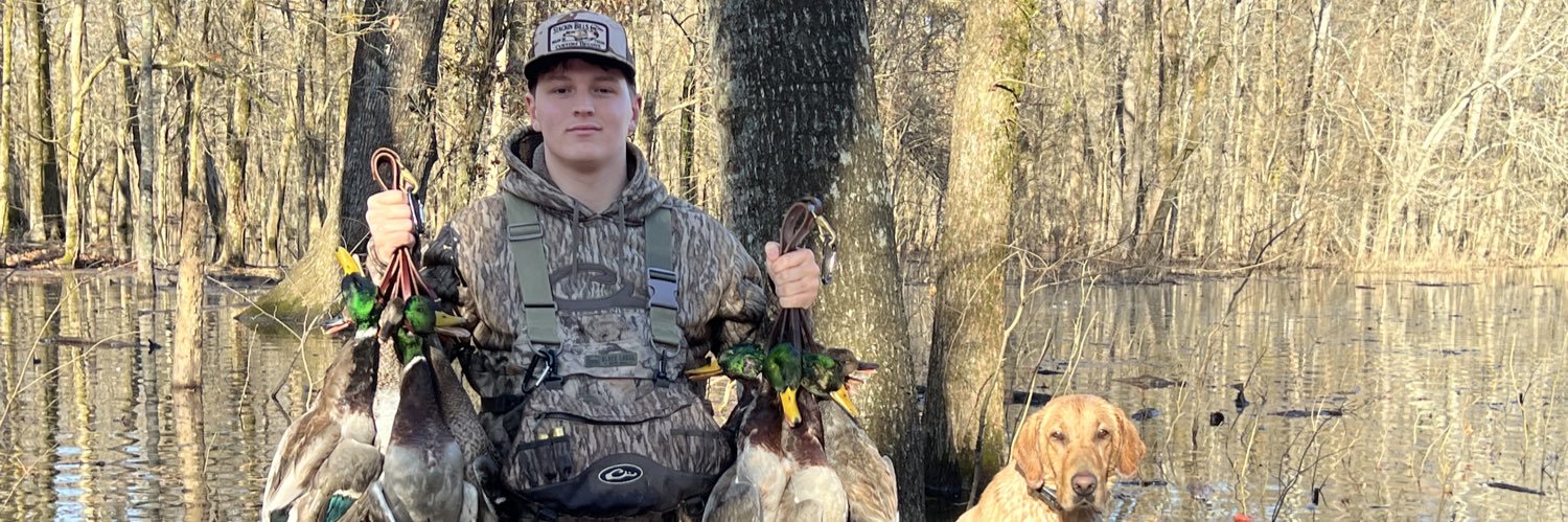 collier slone banner