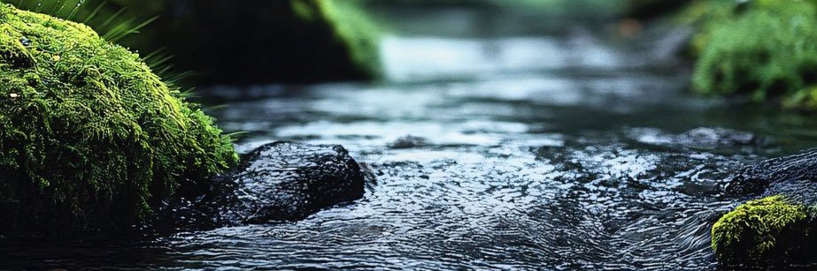 RodolfoMendiol1's profile banner image