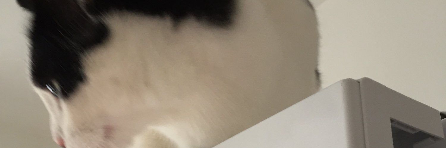Yaboulez's profile banner image