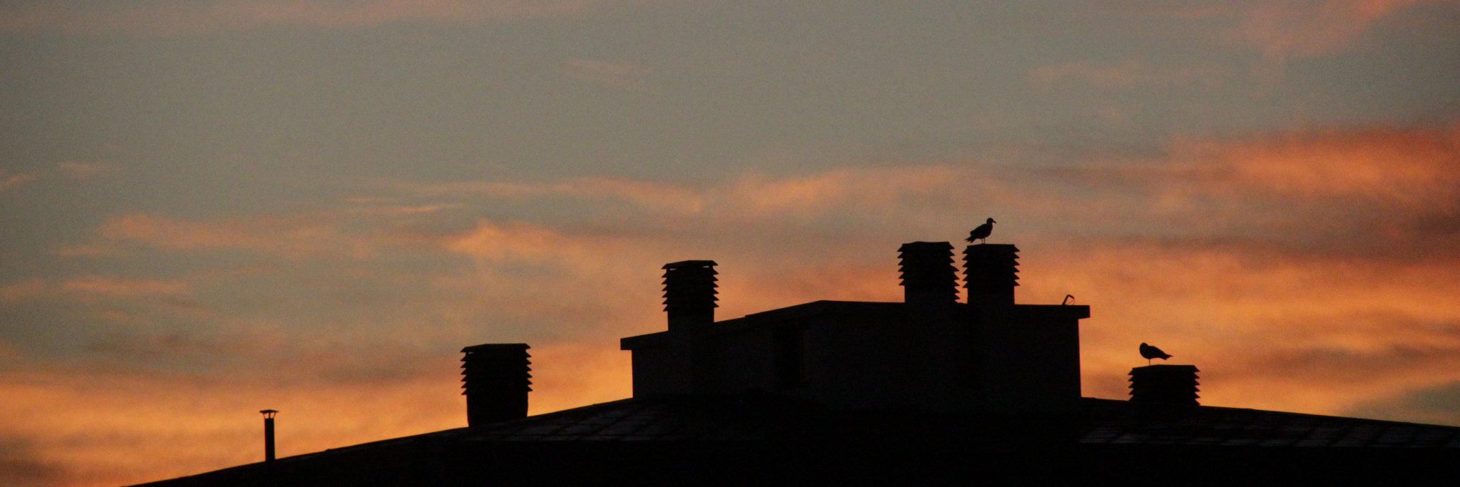 brivalenzuela's profile banner image